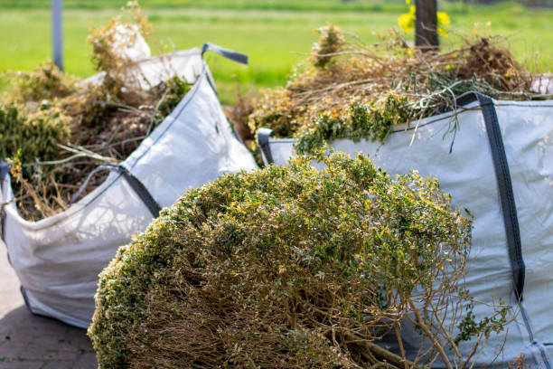 Best Construction Debris Removal  in Ogden, KS